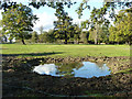 Pond by bridleway