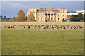 SO8844 : Canada geese and Croome Court by Philip Halling
