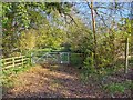 Footpath leaves Welford Road