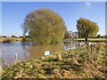 SP1251 : Bidford Grange Lock, River Avon by David P Howard