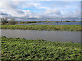 Ouse Washes from Oxlode