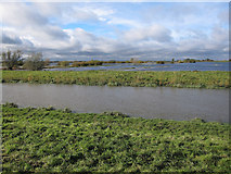 TL4886 : Ouse Washes from Oxlode by Hugh Venables