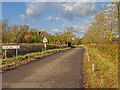 Lane into Dorsington