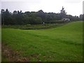 Grassy swale with woodland beyond