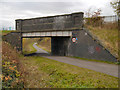 Fallowfield Loop Line, Bridge#14 (Nelstrop Road)