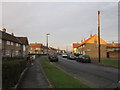 Bethune Avenue, Boothferry Estate