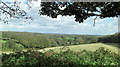 Mown silage field north of Hornywink Wood