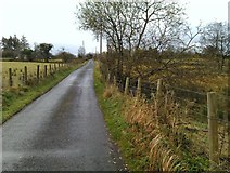 H5475 : Cloghan Road, Streefe Glebe by Kenneth  Allen