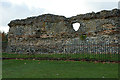 TL1306 : Roman City Wall, St.Albans by Peter Trimming