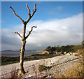 SD4575 : Beach clean at far Arnside by Karl and Ali