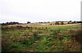 Fields at Burlish Top, Stourport-on-Severn