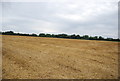 Stubble field