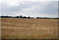 Farmland, Paglesham Creek