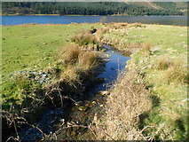 SH5654 : Mountain stream flows into Llyn Cwellyn, Snowdonia by Jaggery