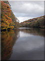 Compstall nature reserve