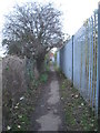 Path to Millfield Road