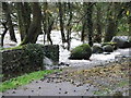 H9486 : Ballyronan Wood picnic area by Jude Byrne