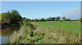 Farmland north of Wrenbury-cum-Frith, Cheshire