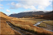 NH1020 : Track and river in Glen Affric by Dorothy Carse