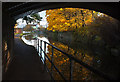 Autumn colours on the Bridgewater Canal