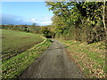 Green Lane descending to Robert Beck