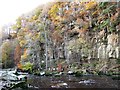 Blaeberry Crags above the River Allen