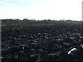 Ploughed field near Ryhope