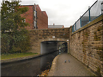 SJ9698 : Bridge#101, Huddersfield Narrow Canal by David Dixon