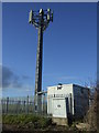 NZ3952 : Communications mast off Burdon Lane by JThomas