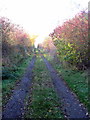 Path to Clifton Pastures