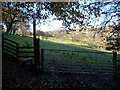 Stile and path near Pant-yr-eos Reservoir