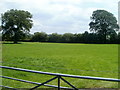 Carmarthenshire grazing land