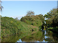 Llangollen Canal at Wrenbury Heath, Cheshire