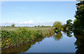 Llangollen Canal north of  Wrenbury Heath, Cheshire