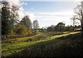 Field between Holy Brook and leat