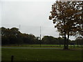 Fields on the edge of Burrhill Golf Club, Hersham