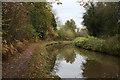 Macclesfield Canal near Adlington