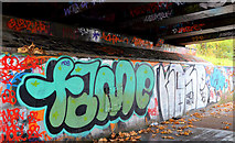 J3371 : Graffiti, Governor's Bridge, Belfast by Albert Bridge