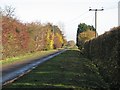 Near the Cottenham end of Long Drove