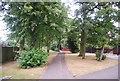 Wooded footpath along Belstead Rd