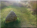NH7444 : The Well of the Dead marker on Culloden Battlefield by Julian Paren