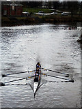 NS6063 : Rowing race on the Clyde by Thomas Nugent