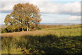 Field near Gwehelog