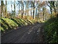 Lane to Lower Skippet Farm