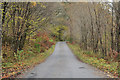NN0147 : Minor road in Glen Creran by Steven Brown
