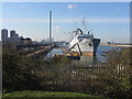 Stubnitz in King George V dock