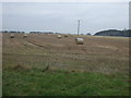 Farmland off Jewison Lane