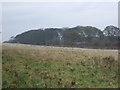 Rough pasture off Jewison Lane