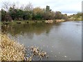 Greencroft Pond