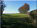 Above Monksfields Farm